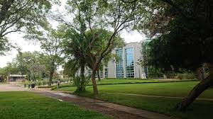 How to apply for a student loan at Mulungushi University?